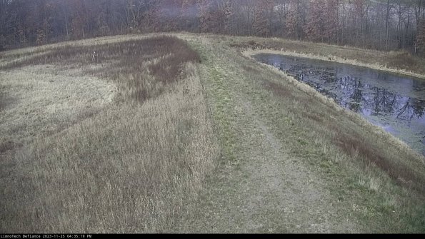 Cell 4 to Basin_23-11-25_16-35-19-81