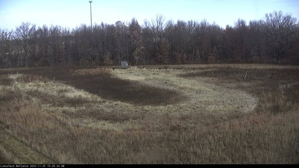 Cell 4_23-11-25_10-26-24-78