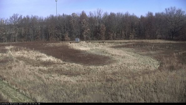 Cell 4_23-11-25_10-59-53-79