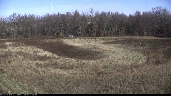 Cell 4_23-11-25_11-33-22-78