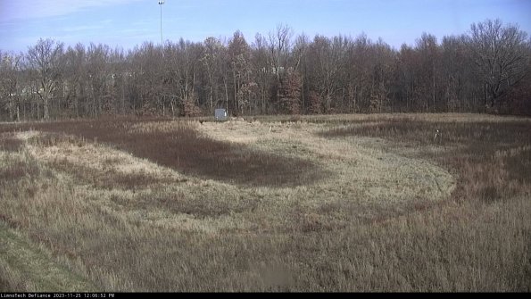 Cell 4_23-11-25_12-06-52-79