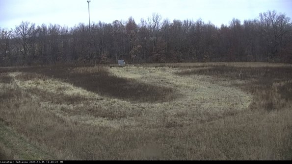 Cell 4_23-11-25_12-40-21-77