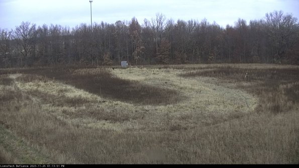 Cell 4_23-11-25_13-13-51-76