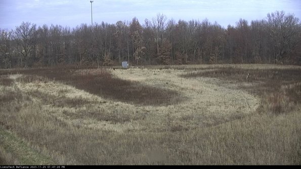 Cell 4_23-11-25_13-47-20-77