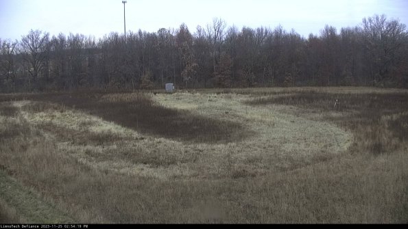 Cell 4_23-11-25_14-54-19-80