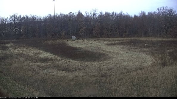 Cell 4_23-11-25_16-34-49-78