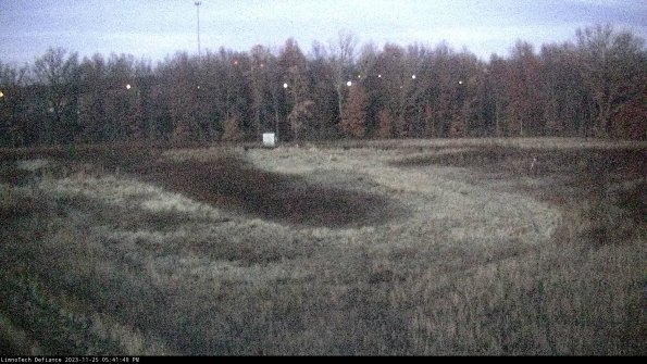 Cell 4_23-11-25_17-41-49-77