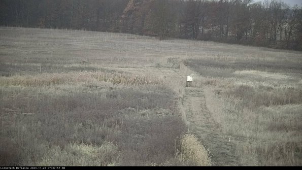 Cell 1 to 2_23-11-26_07-37-57-79