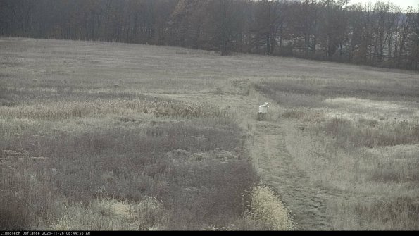 Cell 1 to 2_23-11-26_08-44-56-81