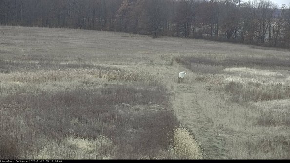 Cell 1 to 2_23-11-26_09-18-24-79