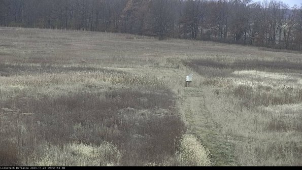 Cell 1 to 2_23-11-26_09-51-52-80