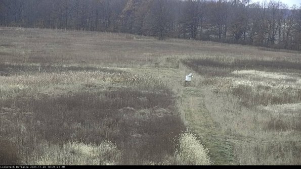 Cell 1 to 2_23-11-26_10-25-21-78