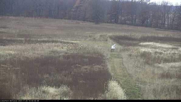 Cell 1 to 2_23-11-26_10-58-50-79