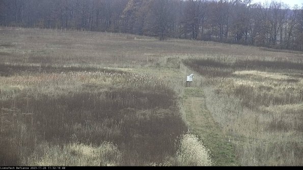 Cell 1 to 2_23-11-26_11-32-19-77