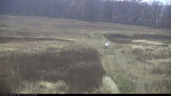 Cell 1 to 2_23-11-26_12-05-49-82