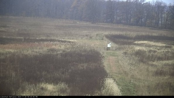 Cell 1 to 2_23-11-26_16-33-45-79