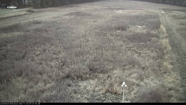 Cell 1_23-11-26_07-37-43-77