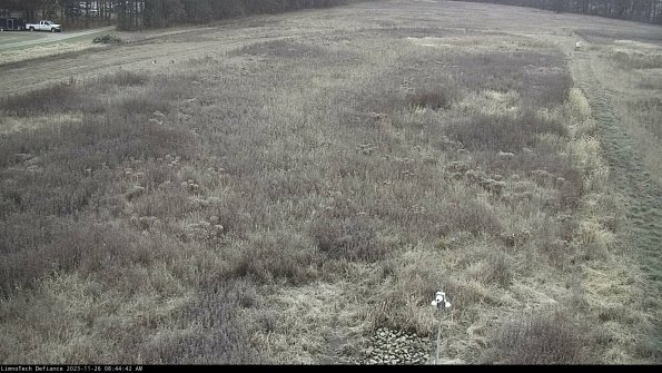 Cell 1_23-11-26_08-44-42-79