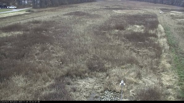 Cell 1_23-11-26_10-25-07-76