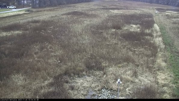 Cell 1_23-11-26_10-58-36-81