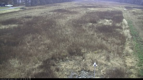 Cell 1_23-11-26_12-05-35-77