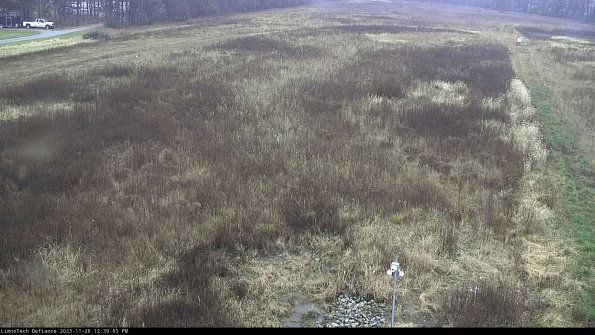 Cell 1_23-11-26_12-39-05-78