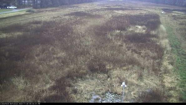 Cell 1_23-11-26_16-33-31-78