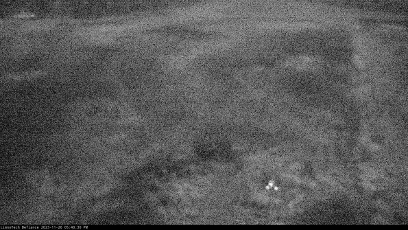 Cell 1_23-11-26_17-40-30-80