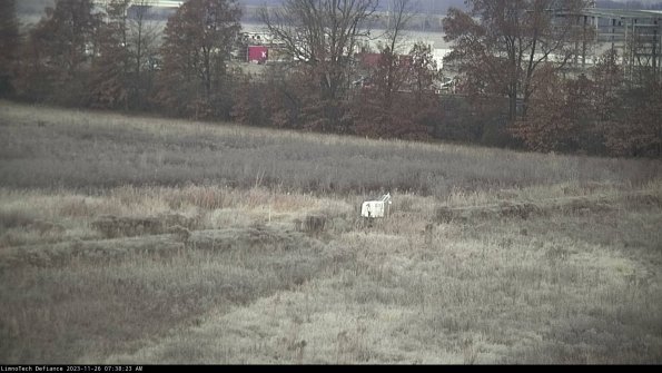 Cell 2 to 3_23-11-26_07-38-23-91