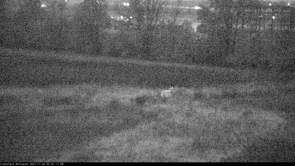 Cell 2 to 3_23-11-26_17-41-11-78