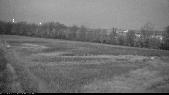 Cell 2_23-11-26_07-04-39-89