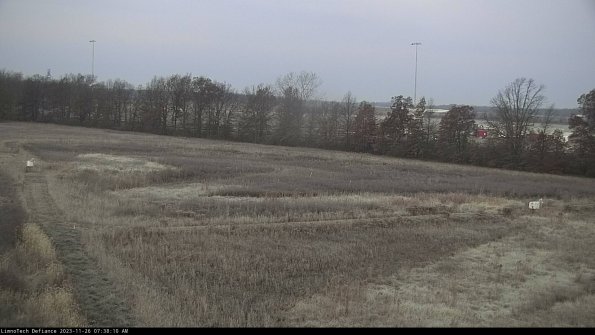 Cell 2_23-11-26_07-38-10-83