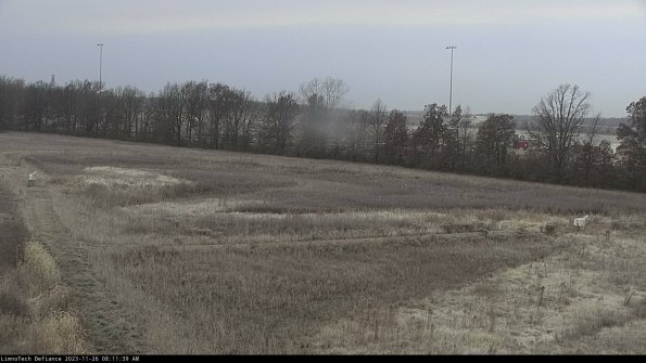 Cell 2_23-11-26_08-11-39-84