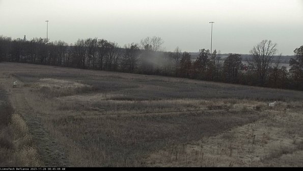 Cell 2_23-11-26_08-45-09-82