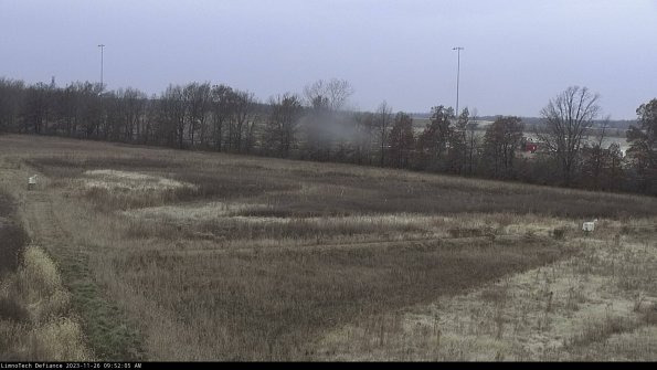 Cell 2_23-11-26_09-52-05-81