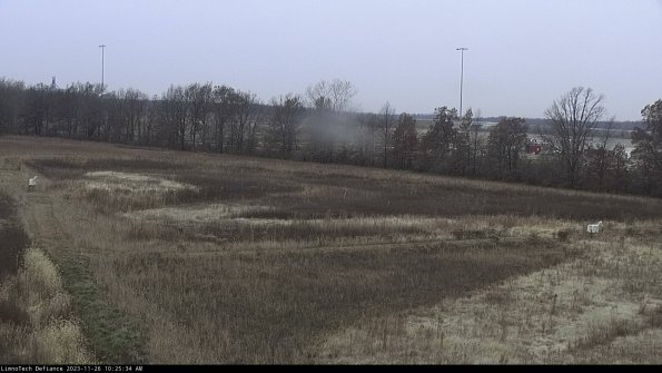 Cell 2_23-11-26_10-25-34-79