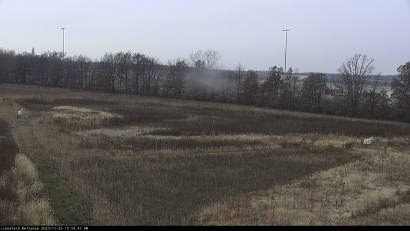 Cell 2_23-11-26_10-59-03-84