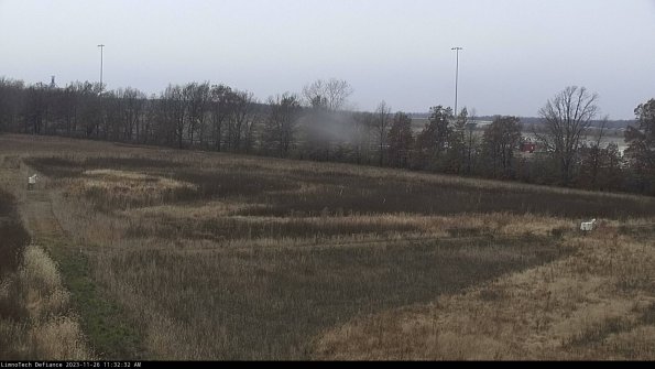 Cell 2_23-11-26_11-32-32-78