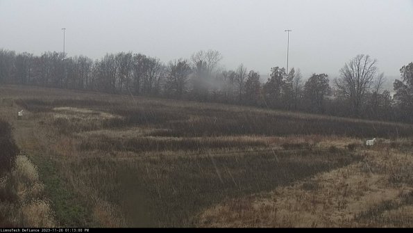 Cell 2_23-11-26_13-13-00-79