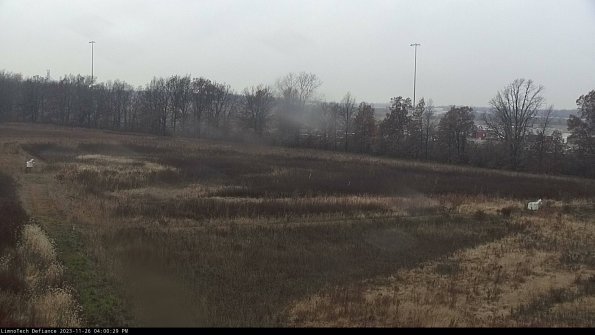 Cell 2_23-11-26_16-00-29-86