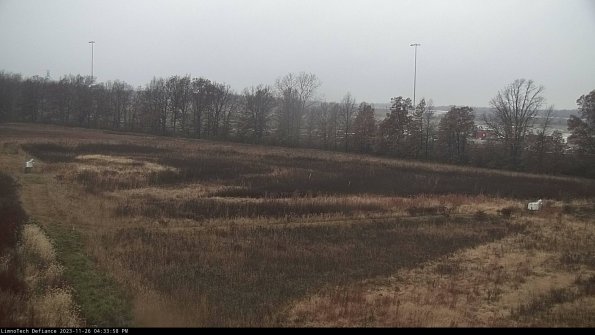 Cell 2_23-11-26_16-33-58-87