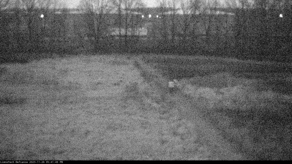 Cell 3 to 4_23-11-26_17-41-40-77