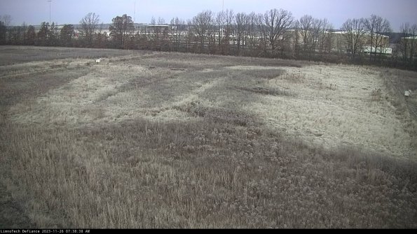 Cell 3_23-11-26_07-38-38-76