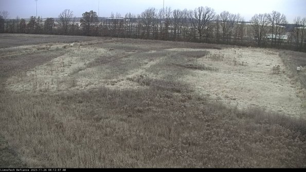 Cell 3_23-11-26_08-12-07-80