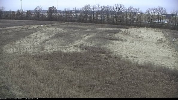 Cell 3_23-11-26_09-19-04-99