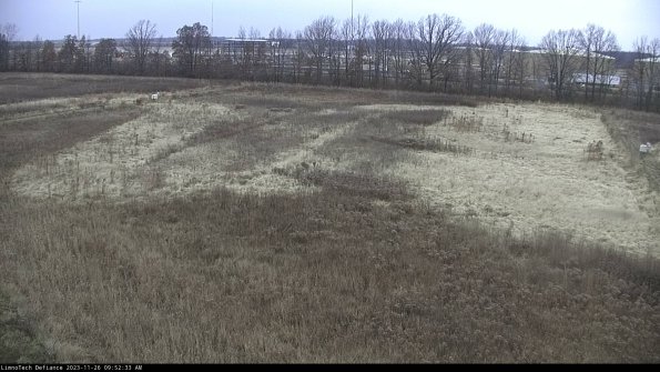 Cell 3_23-11-26_09-52-33-77