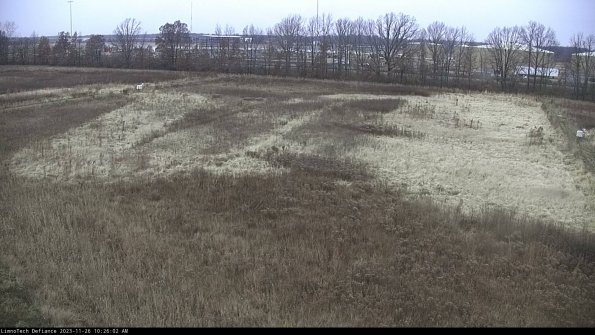 Cell 3_23-11-26_10-26-02-78