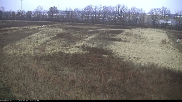 Cell 3_23-11-26_12-06-30-79