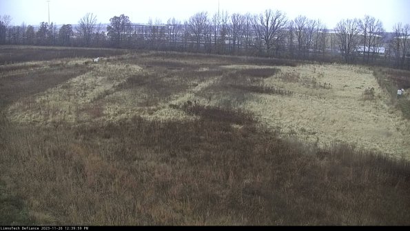 Cell 3_23-11-26_12-40-00-04