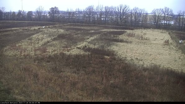 Cell 3_23-11-26_16-00-57-78